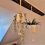 アパート Liebenswertes 10 Minuten Zur Altstadt コブレンツ