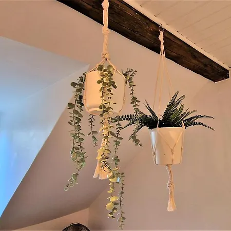 アパート Liebenswertes 10 Minuten Zur Altstadt コブレンツ