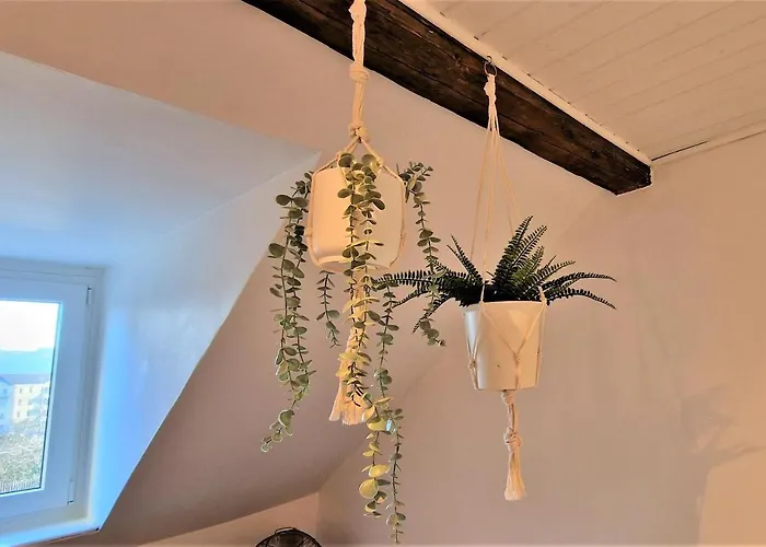 Apartamento Liebenswertes 10 Minuten Zur Altstadt Coblenza